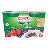 MG MIXED BERRIES YOGHURT LOW FAT 2X130G