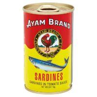 AYAM SARDINES JITNEYS 155G 