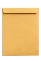 GIANT BROWN ENVELOPS 